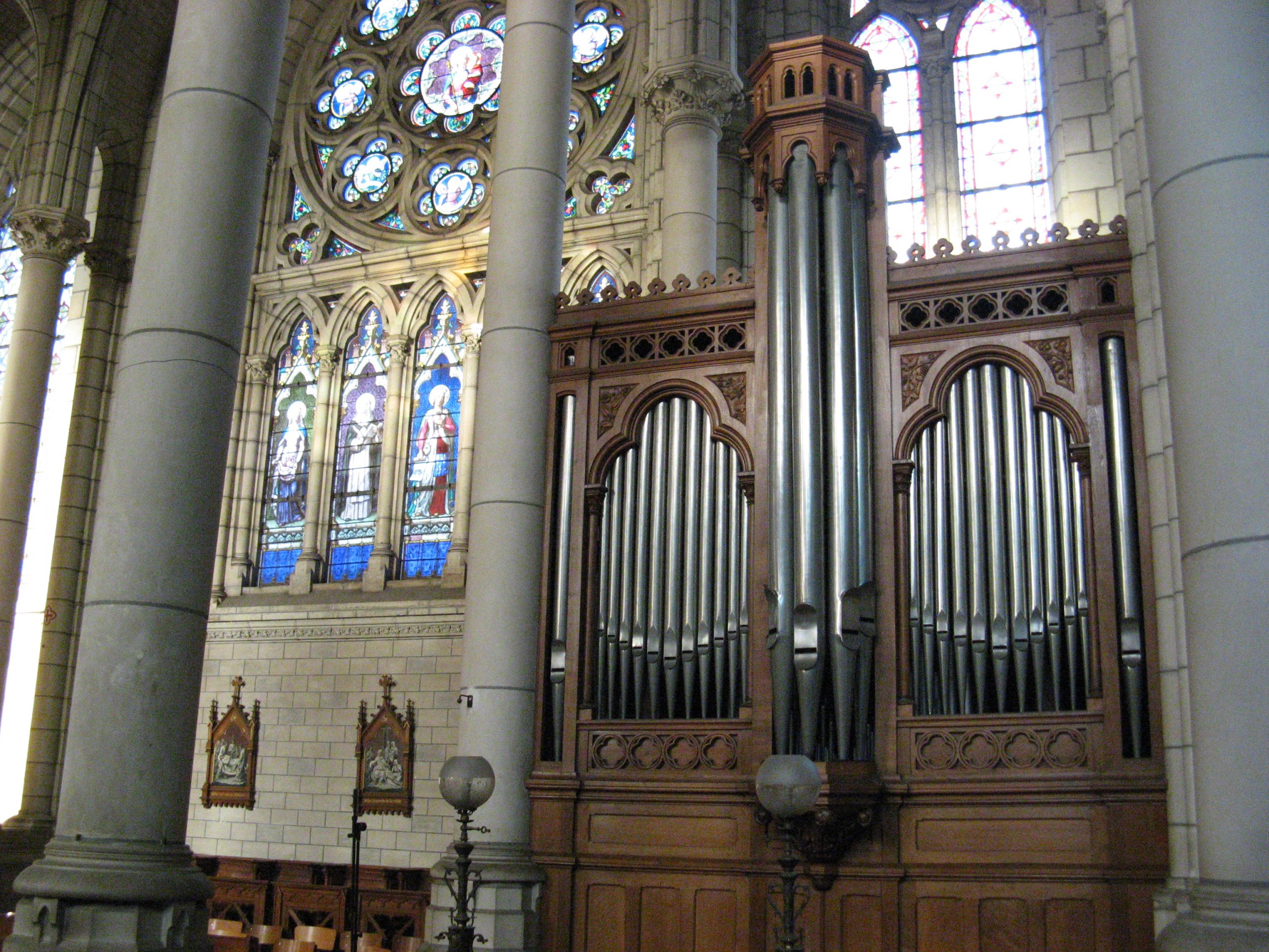 organ